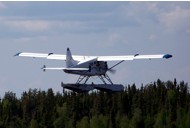 fly in fishing trip fly in fishing trip