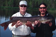walleye fishing canada