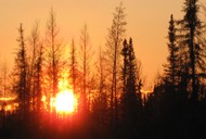 canada fishing trips canada fishing trips